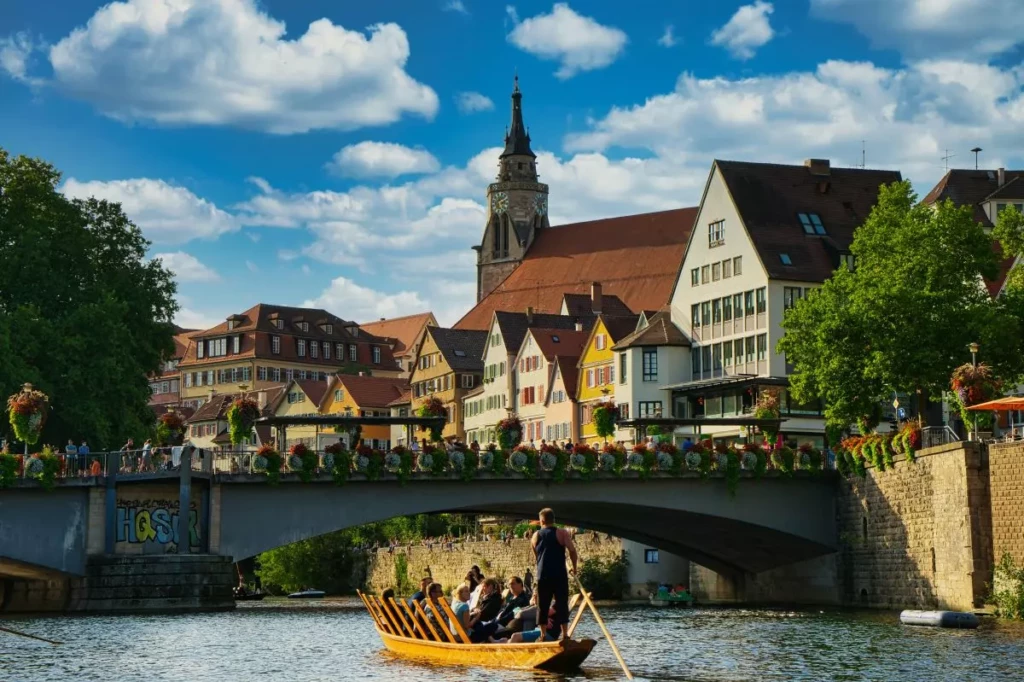 Rhin